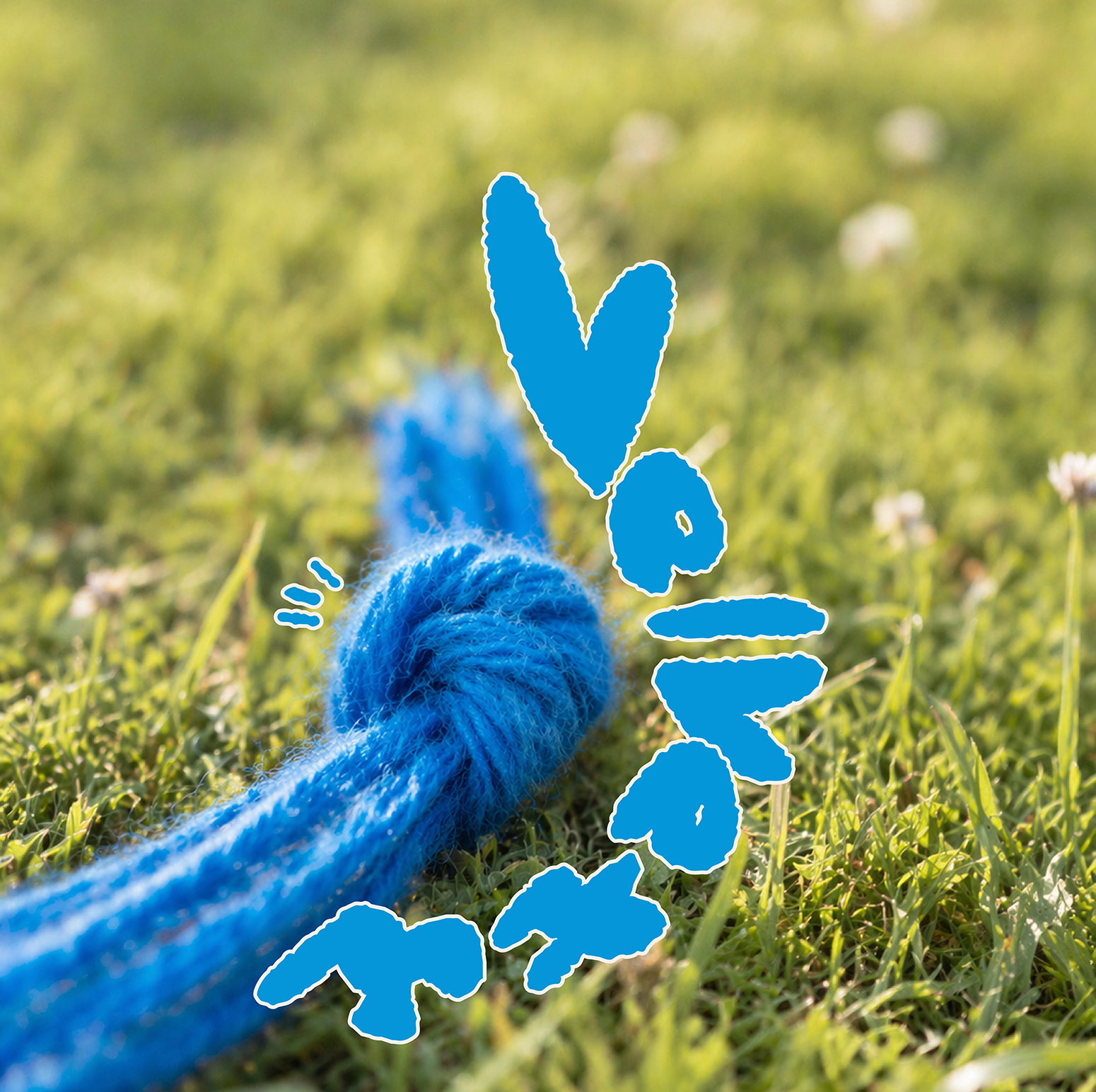 Blue Loop 8 recycled polyester yarn on grass with playful graphic text, showing soft fluffy yarn texture for craft projects